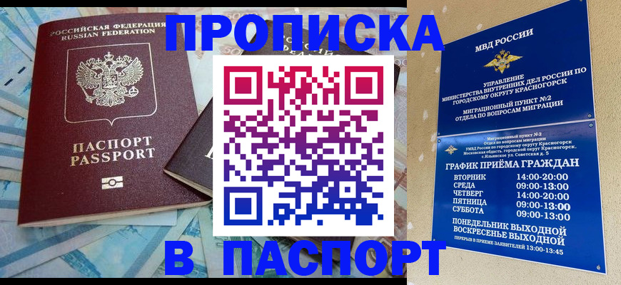 найти адрес прописки в Пугачёве